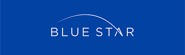 Blue Star Life Insurance logo - Blue Star Consulting & Insurance Services, LLC