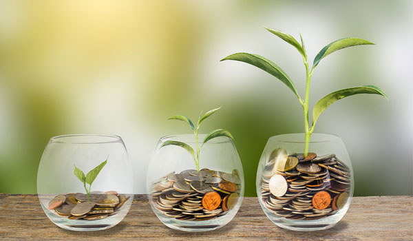 Image-1 Blue Star Consulting Services Pension Plan, Income Tax Reduction