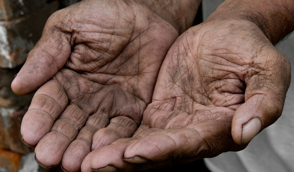 Image-3 Blue Star Consulting Services Pension Plan, Charitable Giving